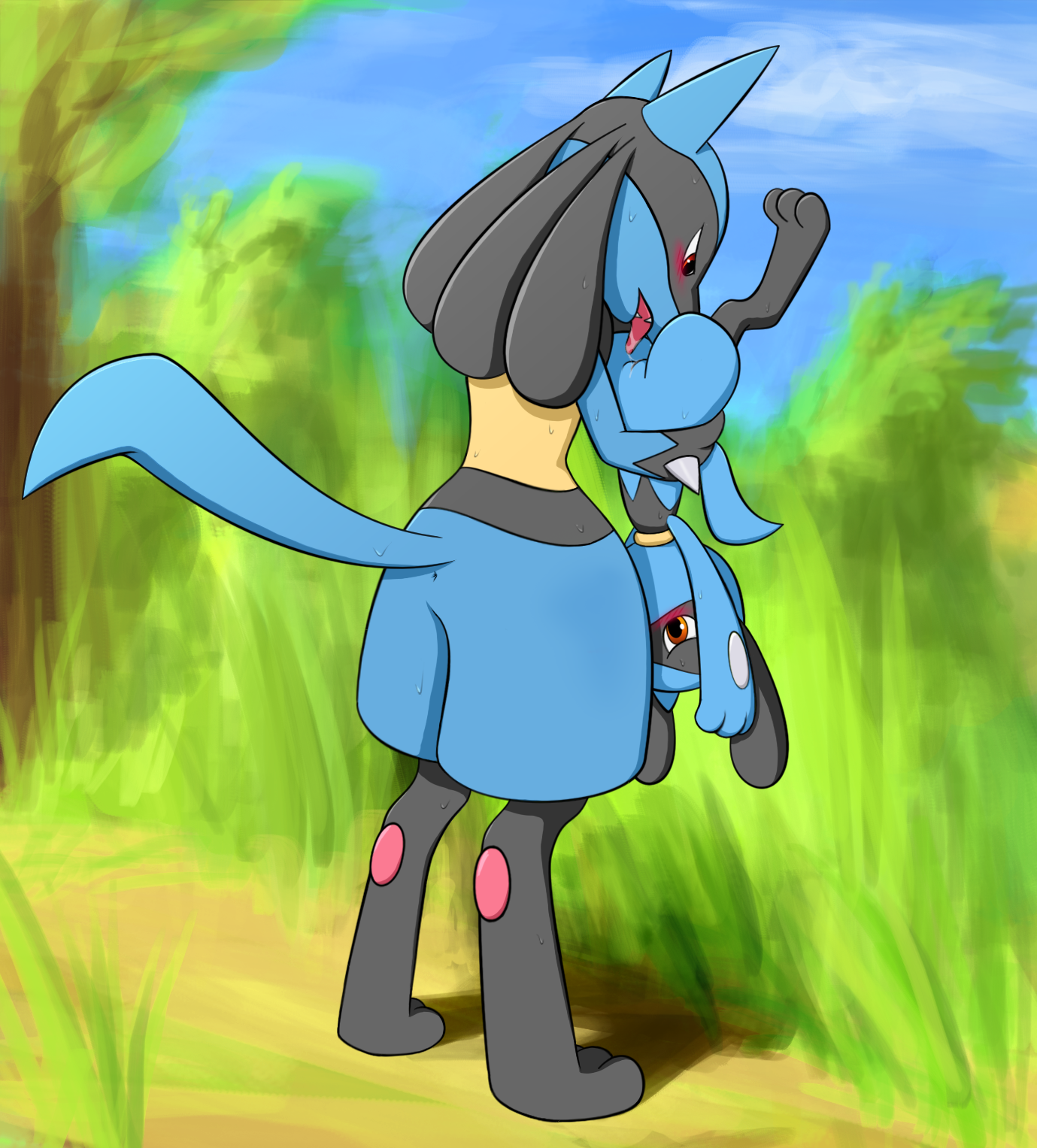 Lucario Porkyman Riolu dancingchar