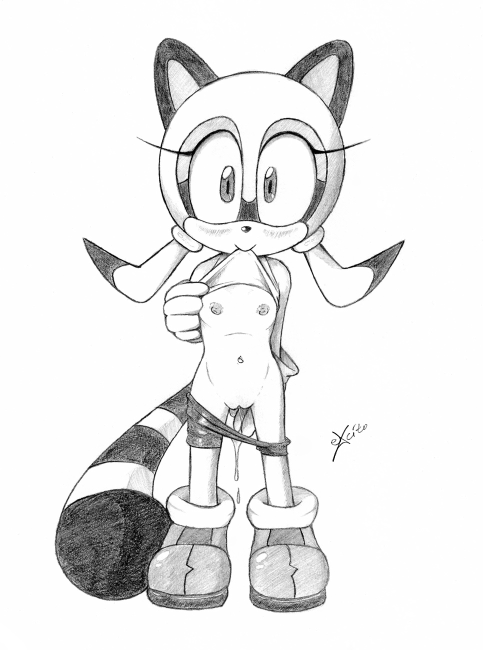 Marine_the_Raccoon Sonic_the_Hedgehog_(series) excito