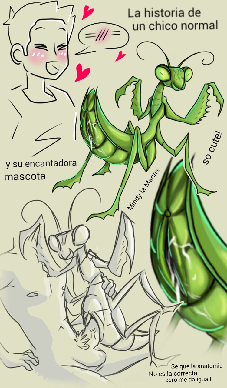 Praying mantis coloring pages