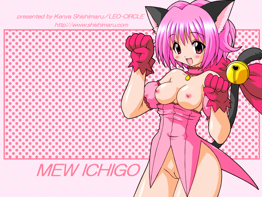 Ichigo_Momomiya Maruken Tokyo_Mew_Mew