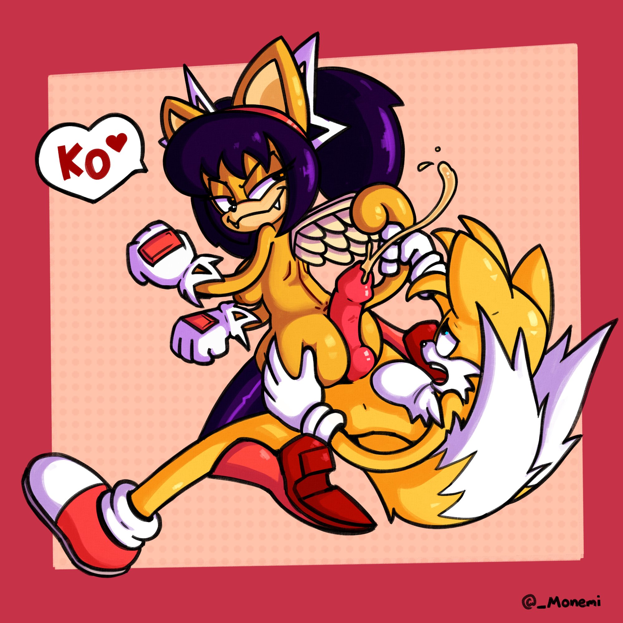 Honey_the_Cat Sonic_the_Hedgehog_(series) Tails monemi