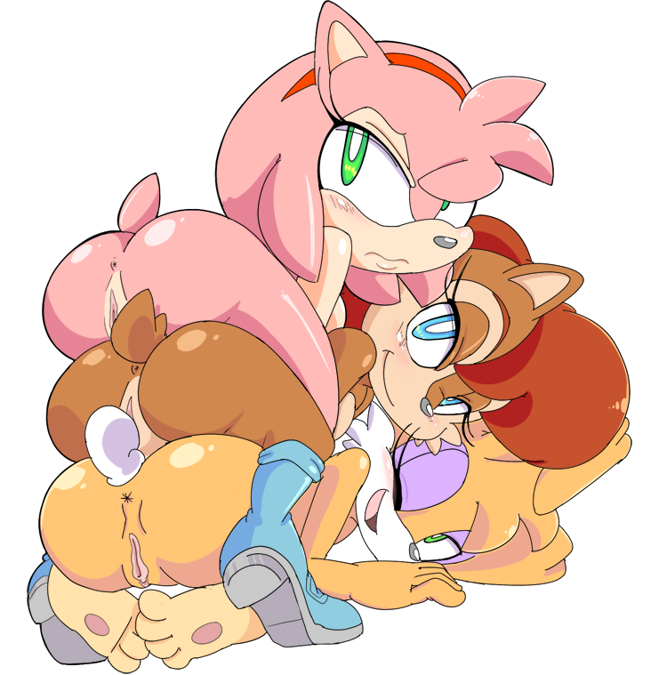 Amy_Rose Bunnie_Rabbot Sally_Acorn Sonic_the_Hedgehog_(series) cloudz