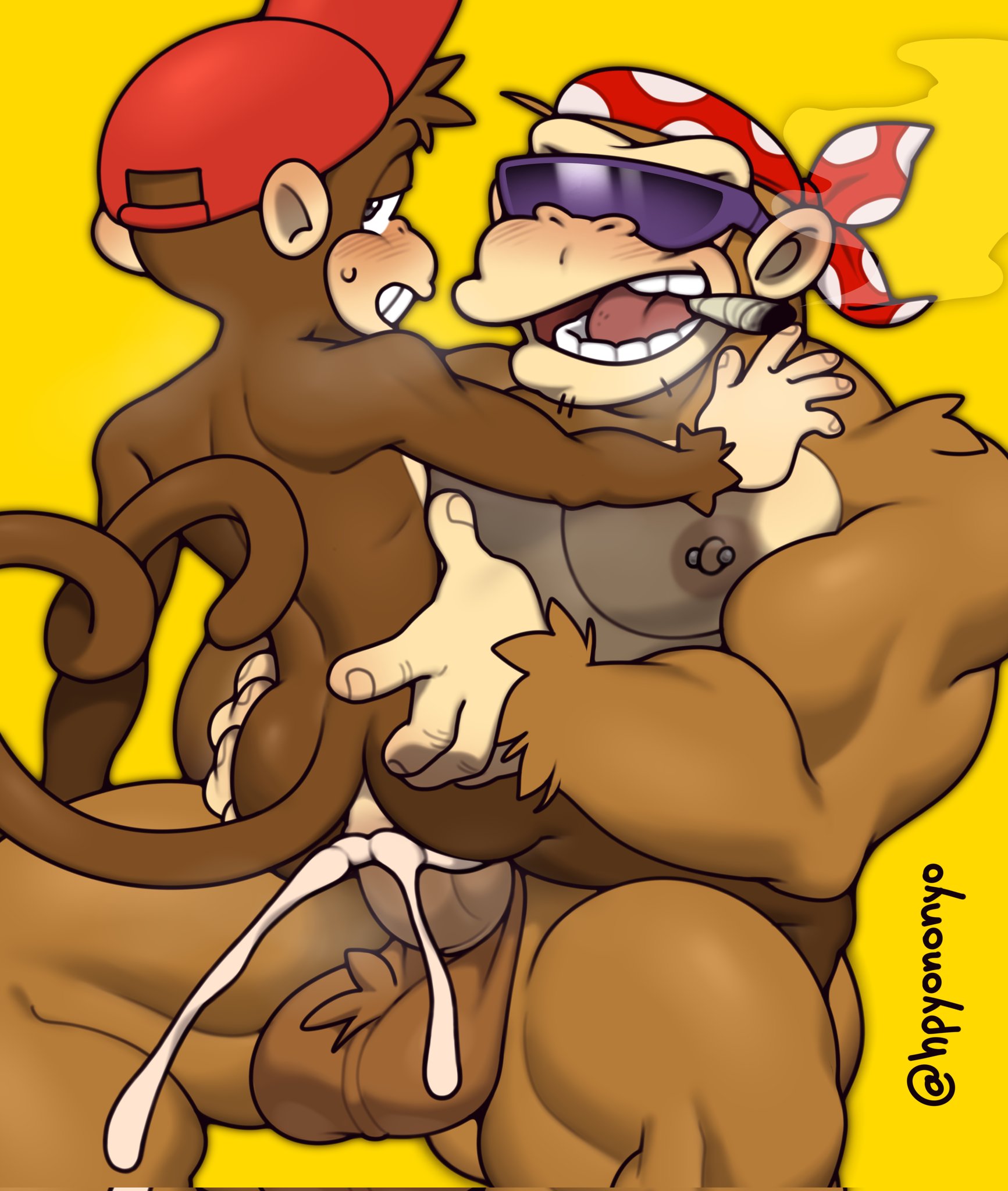 Diddy_Kong Donkey_Kong_(series) Funky_Kong HPYONONYO