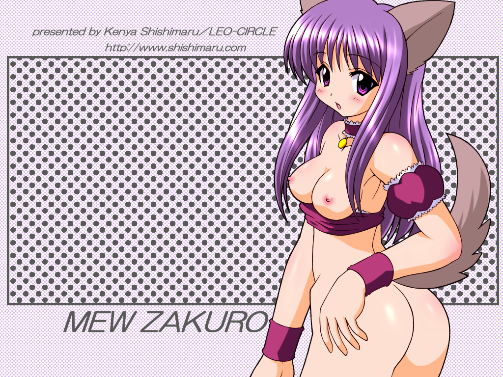 Maruken Tokyo_Mew_Mew Zakuro_Fujiwara