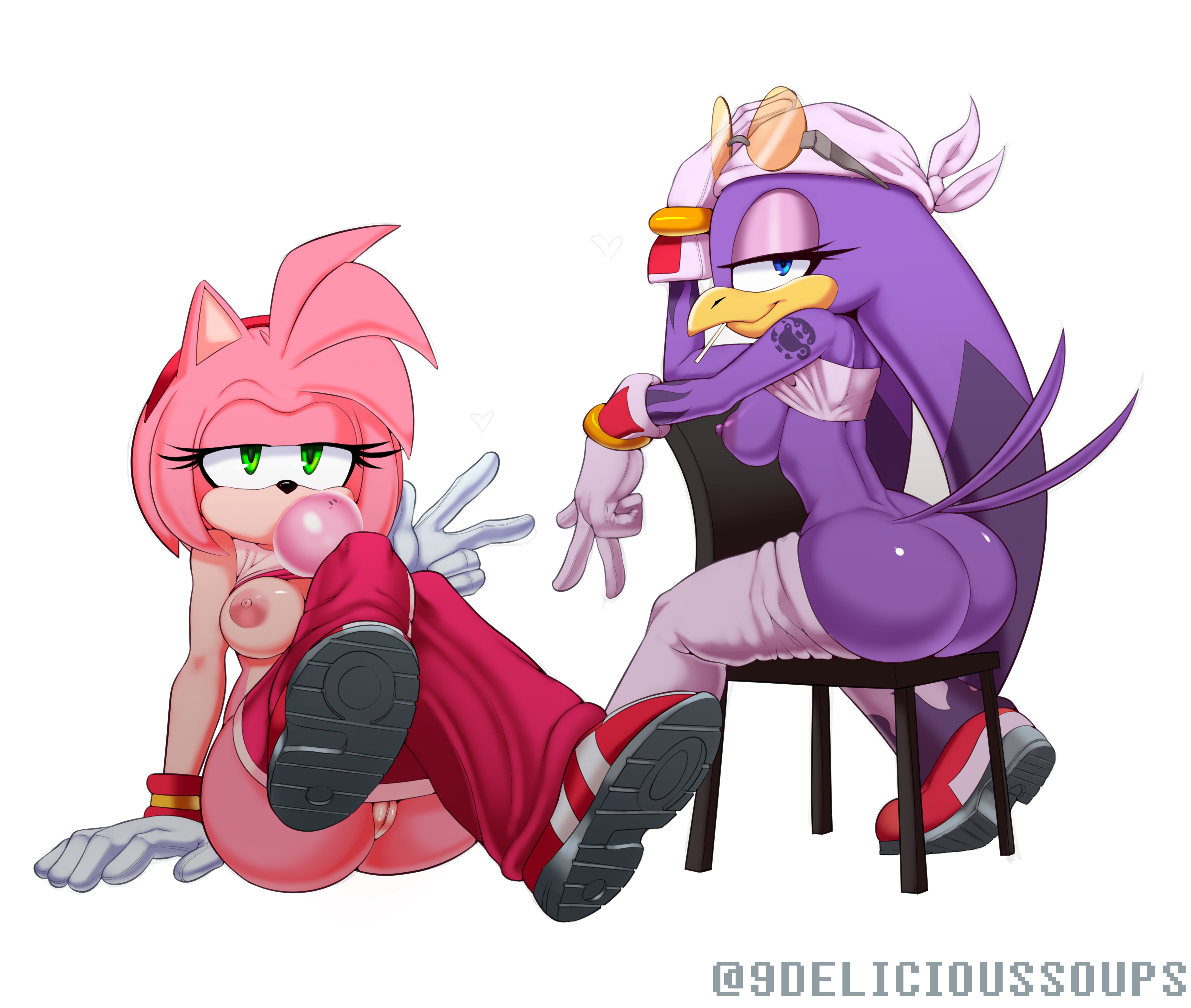 9DeliciousSoups Amy_Rose Sonic_Riders Sonic_the_Hedgehog_(series) Wave_the_Swallow