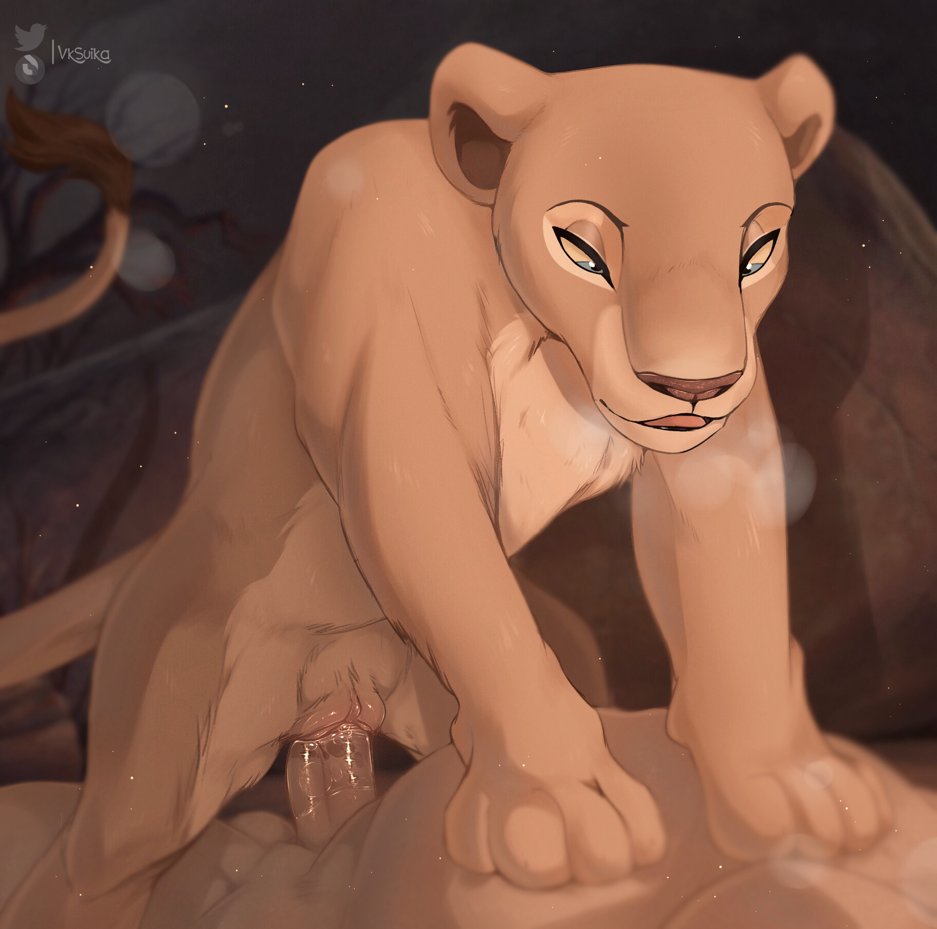 Nala only fans