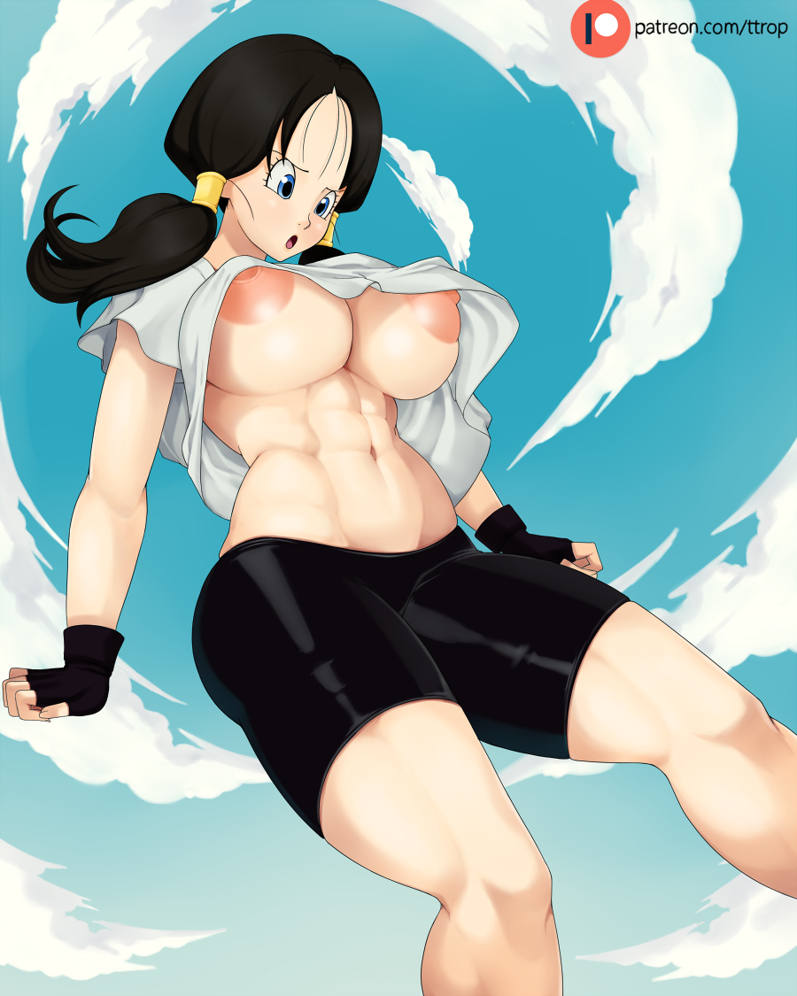 Post 2916211: Dragon_Ball_(series) ttrop Videl