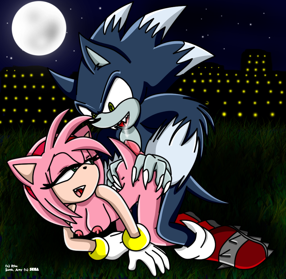 Post 227372: Amy_Rose Riku Sonic_the_Hedgehog_(series) Sonic_the_Werehog