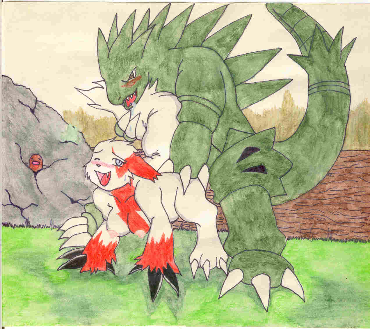 Diglett Porkyman Tyranitar Zangoose