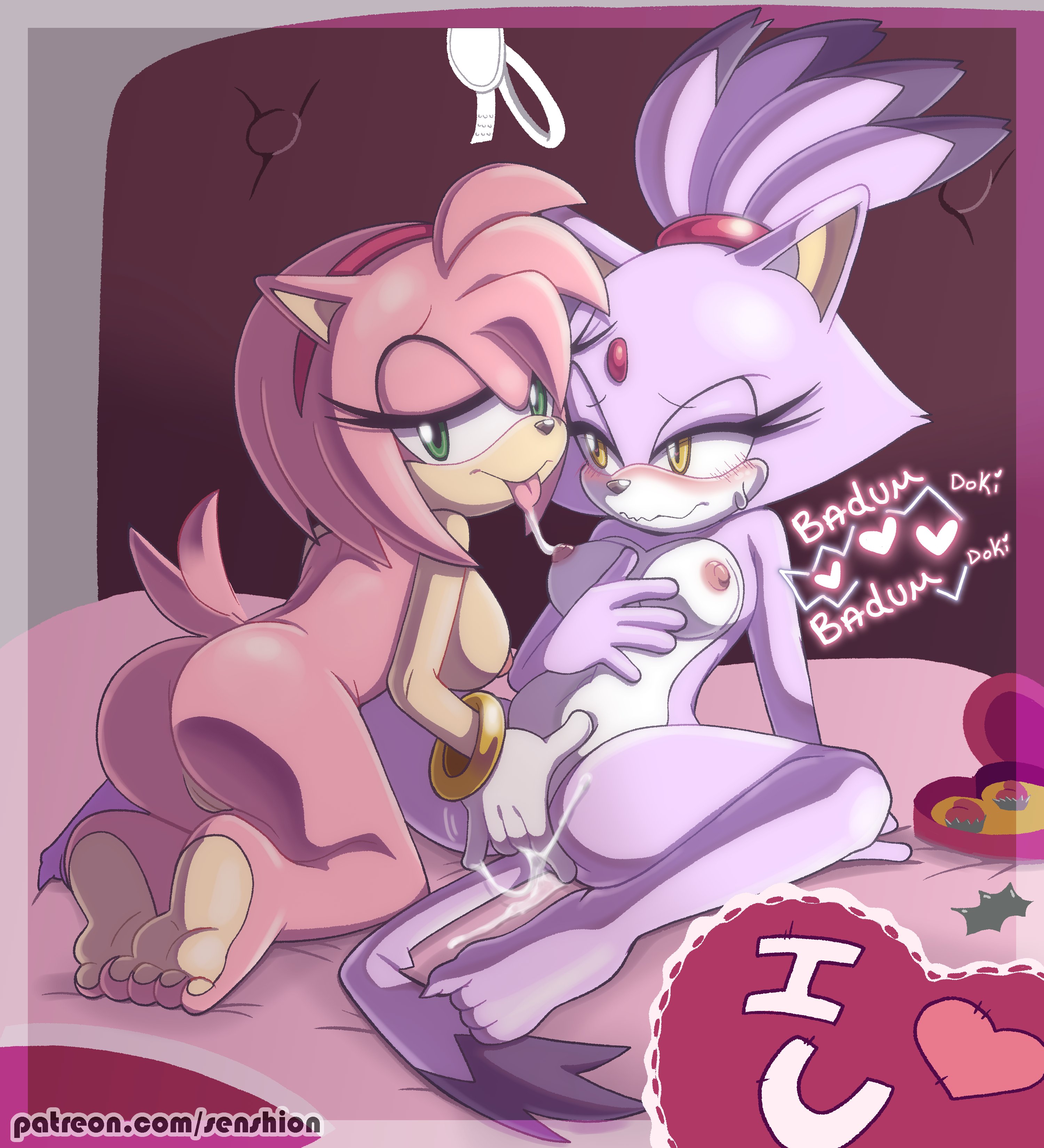 Amy_Rose Blaze_the_Cat Sonic_the_Hedgehog_(series) senshion