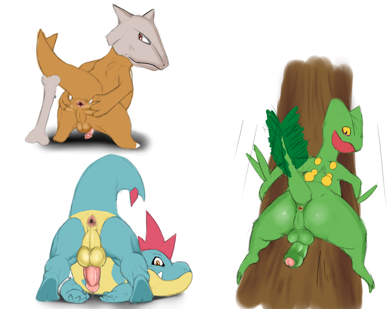 Croconaw Marowak Porkyman Sceptile Seyrmo