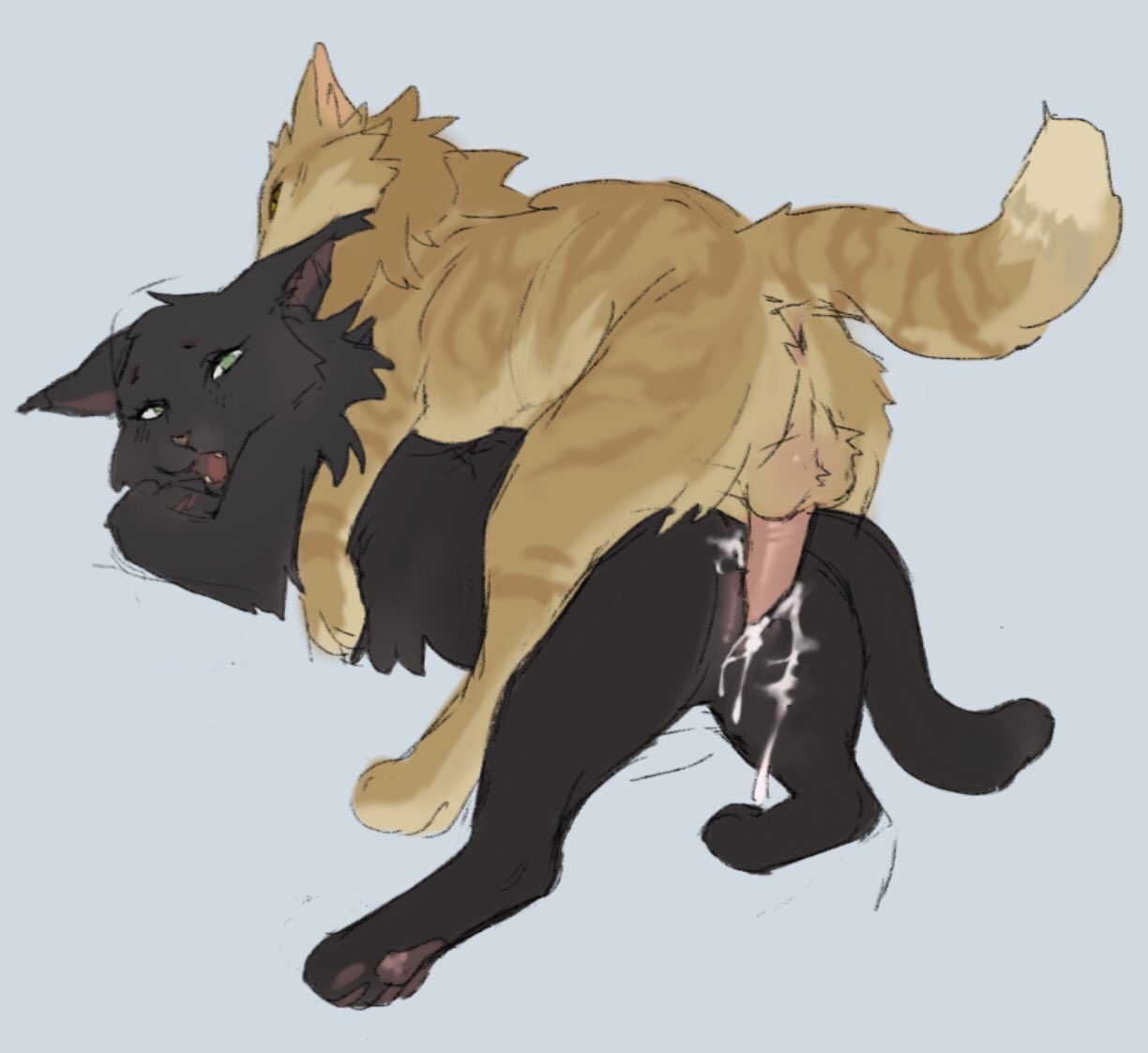 Post 3265353: Hollyleaf Lionblaze Plumbelly Warrior_Cats