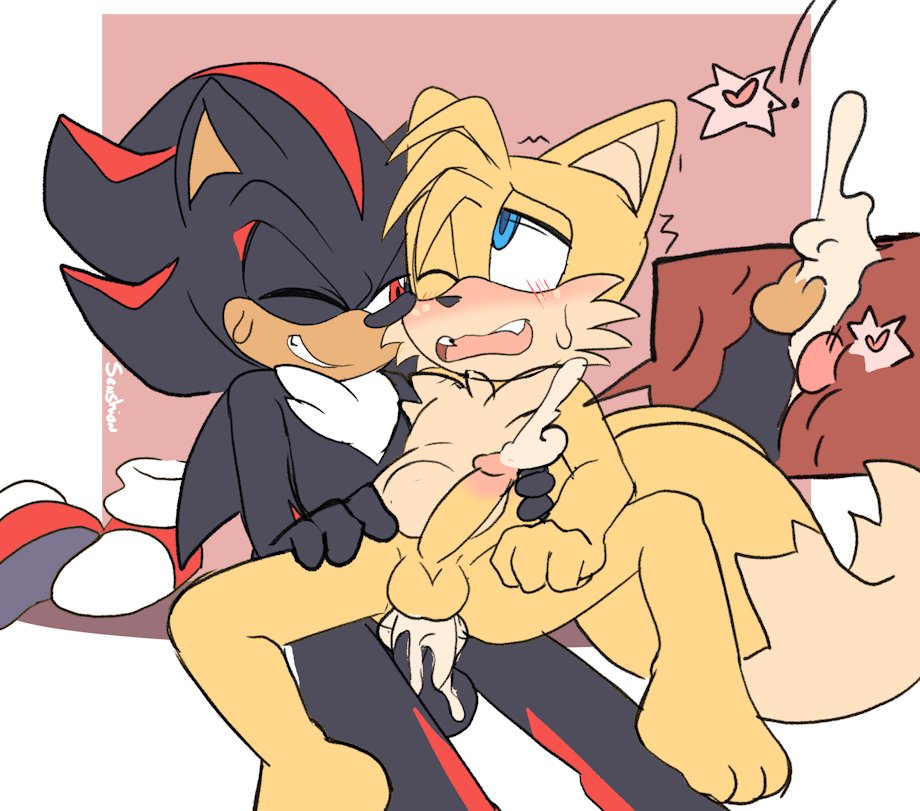 Shadow_the_Hedgehog Sonic_the_Hedgehog_(series) Tails senshion