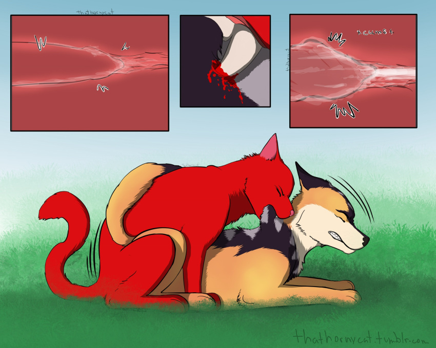 Post 2828356 Firestar Thathornycat Warriorcats 4912