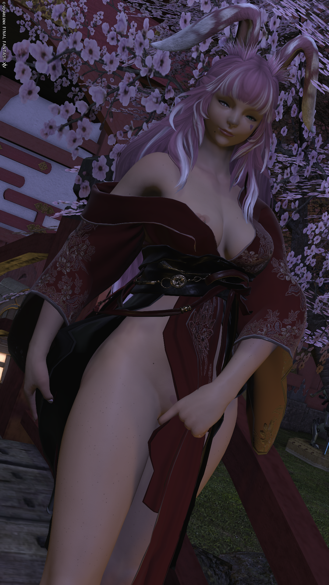Final_Fantasy_(series) Final_Fantasy_XIV viera
