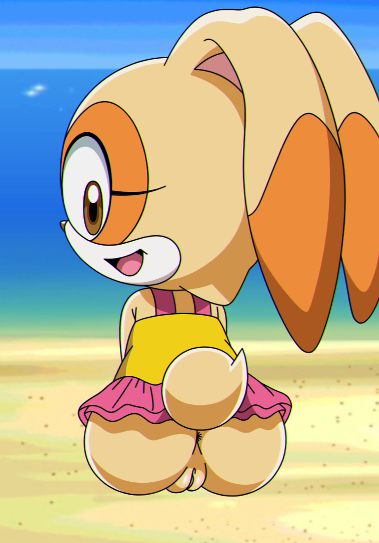 Cream the rabbit sonic x