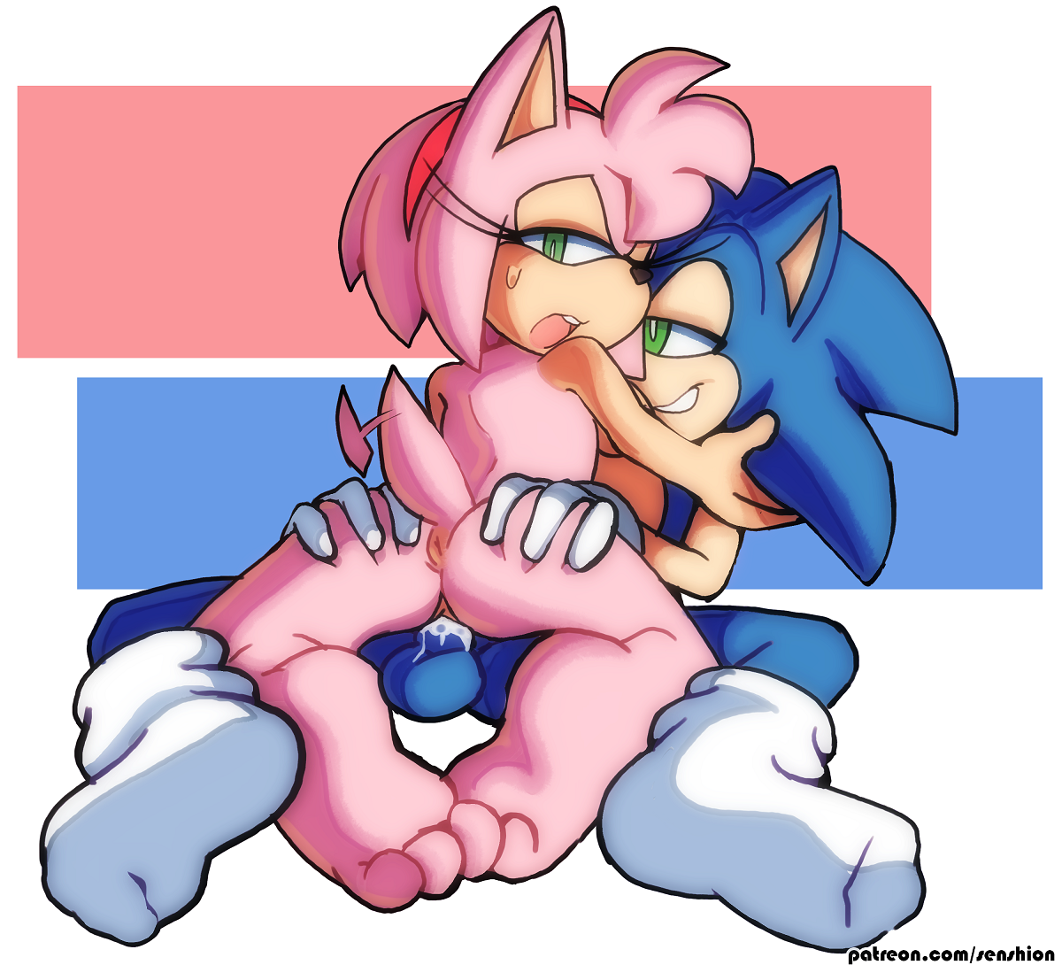 Amy_Rose Sonic_the_Hedgehog Sonic_the_Hedgehog_(series) senshion