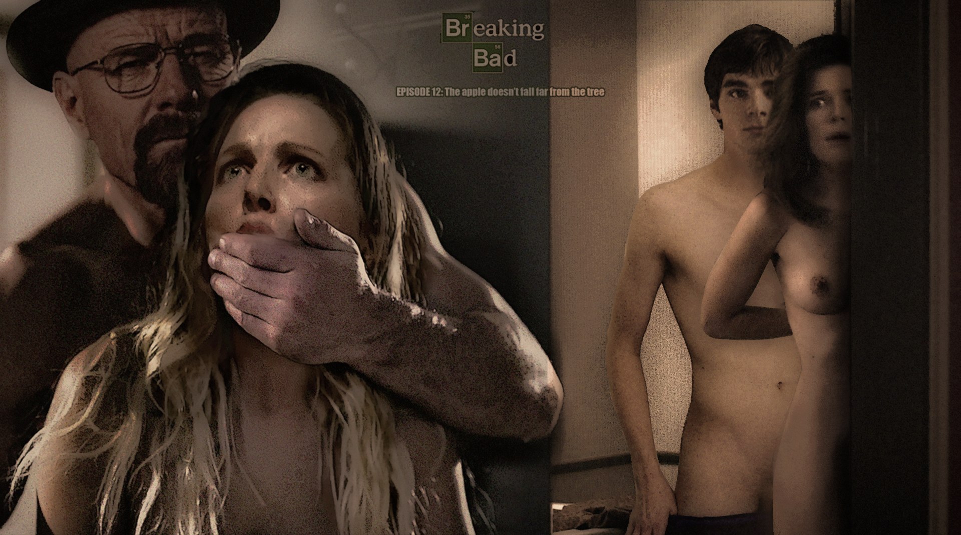 Post 5775321 Annagunn Betsybrandt Breakingbad Bryancranston Fakes Marieschrader Rjmitte 