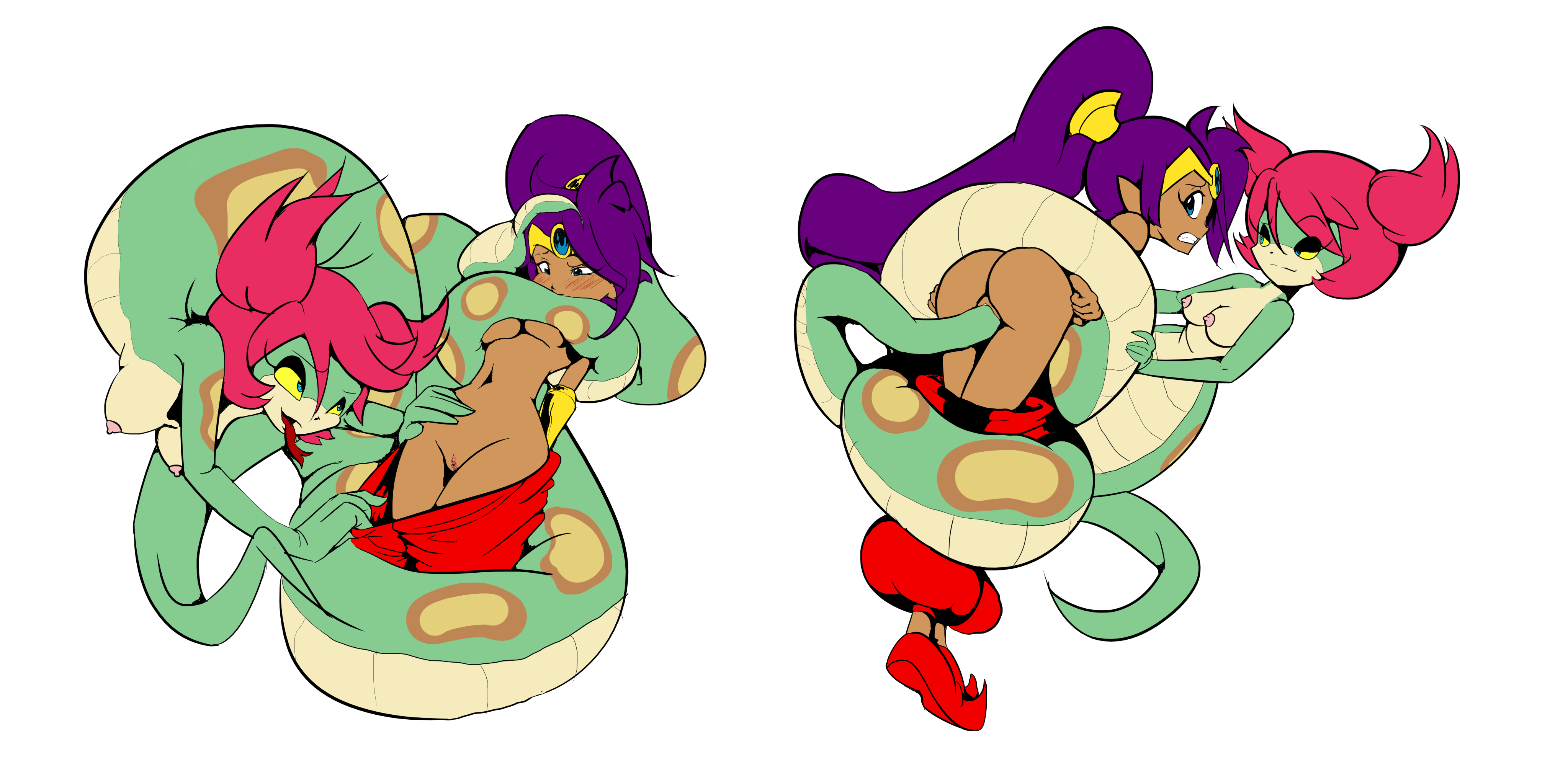 CumminHam Shantae Shantae_(series) Tuki edit