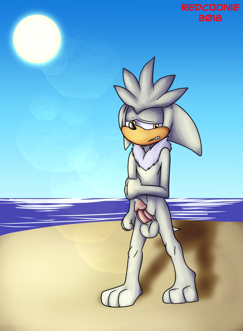 RedCoonie Silver_the_Hedgehog Sonic_the_Hedgehog_(series)