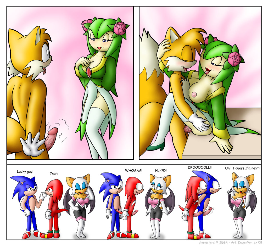 Post 323808: Cosmo_the_Seedrian KnownVortex Knuckles_the_Echidna  Rouge_the_Bat Sonic_the_Hedgehog Sonic_the_Hedgehog_(series) Sonic_X Tails