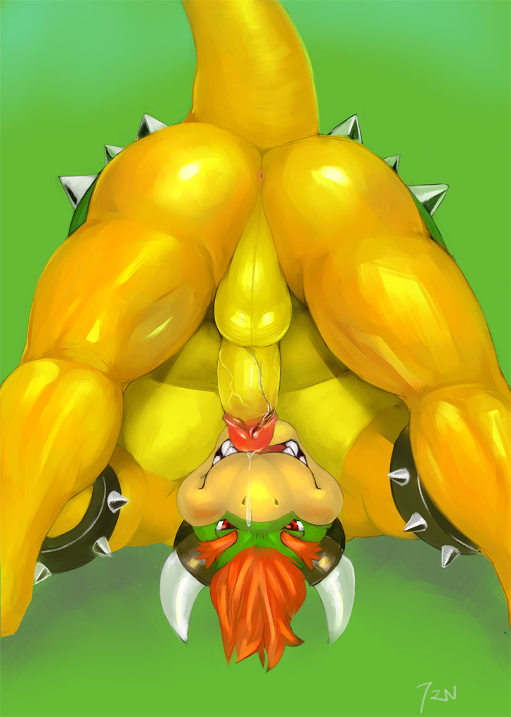 Bowser Koopa Super_Mario_Bros. TRN