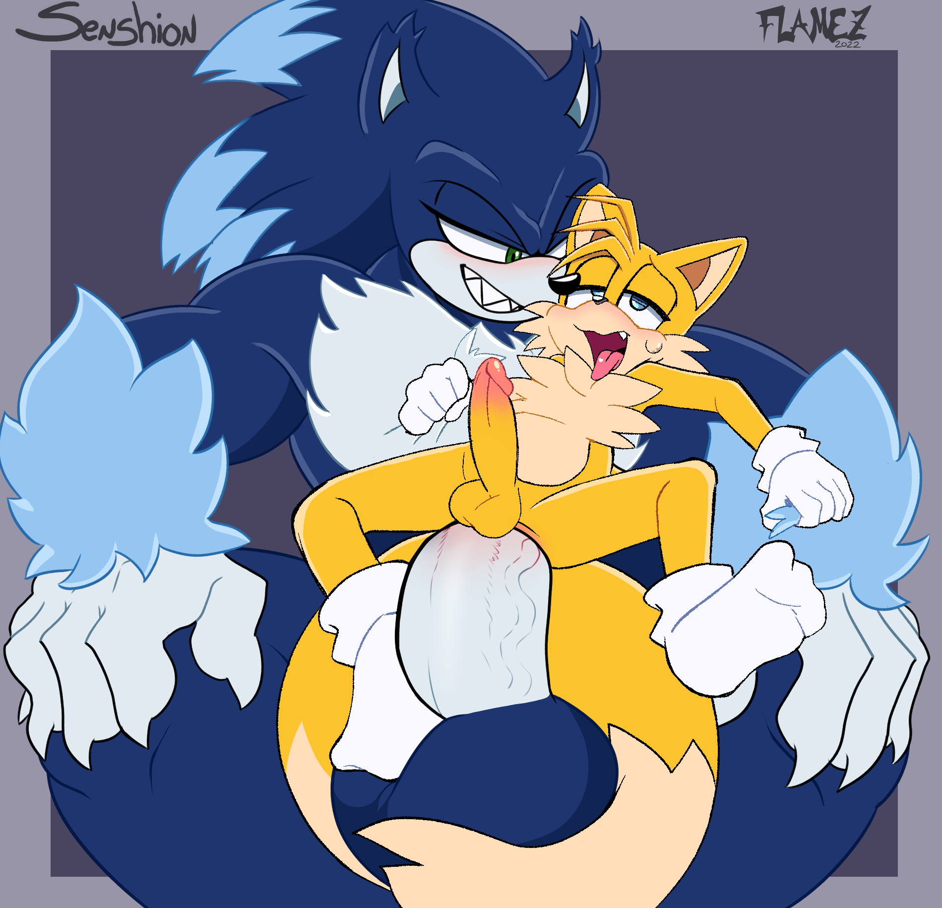 Flamez Sonic_Unleashed Sonic_the_Hedgehog_(series) Sonic_the_Werehog Tails senshion