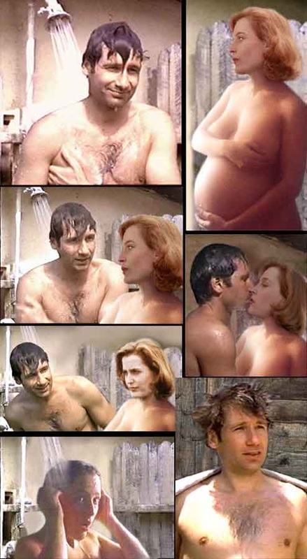 Post 1984250 Danascully Davidduchovny Fakes Foxmulder Gilliananderson X Files