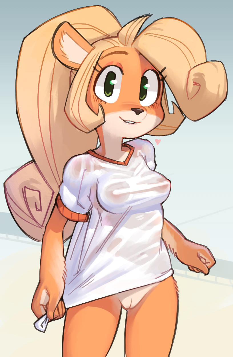 Coco_Bandicoot Crash_Bandicoot_(series) Wamudraws