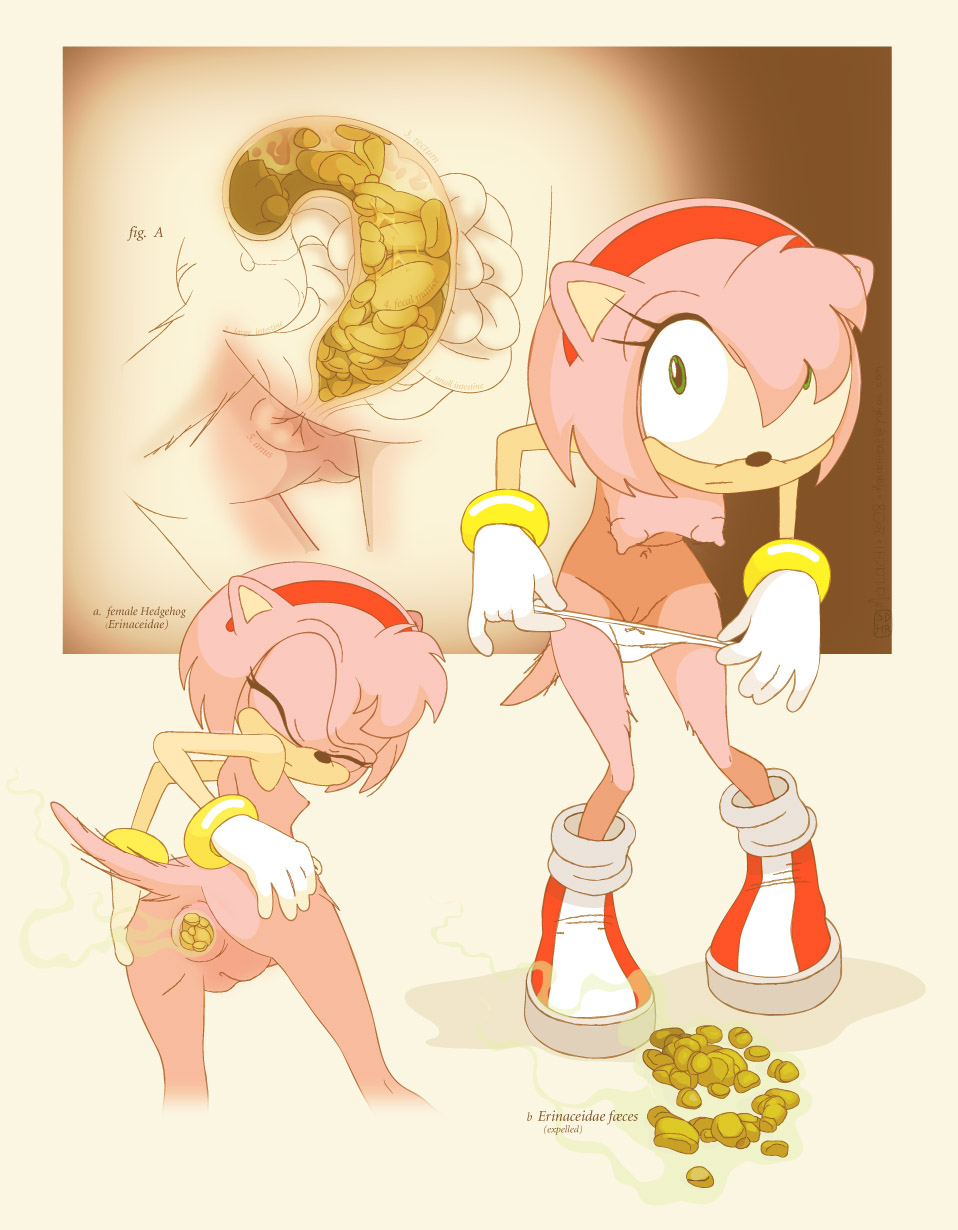 Post 177613: Amy_Rose Malachi_(artist) Sonic_the_Hedgehog_(series)