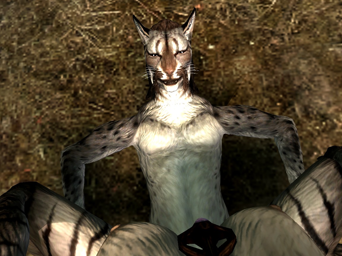 Post 1008894: Khajiit Skyrim The_Elder_Scrolls