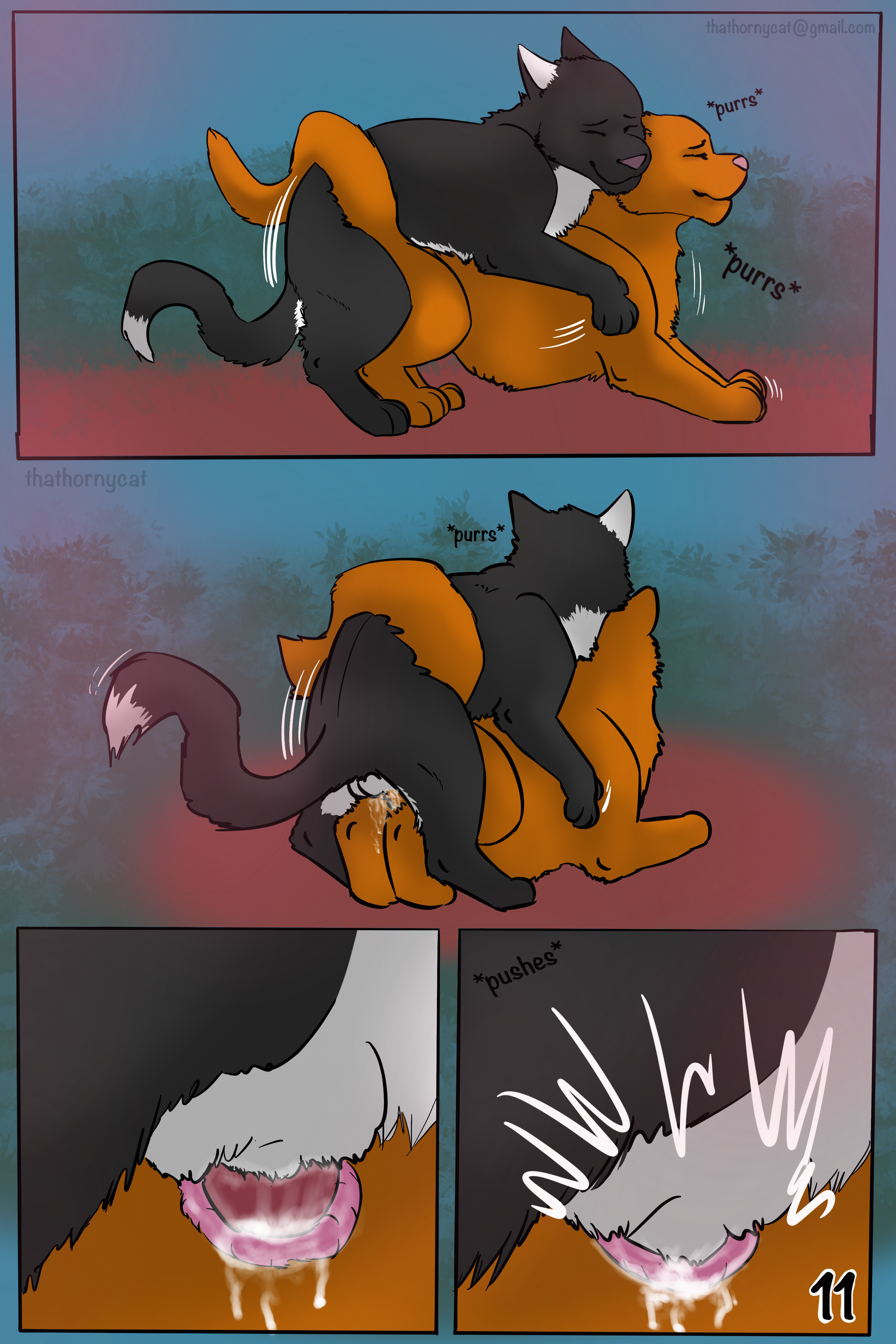 Warrior cat furry porn comic