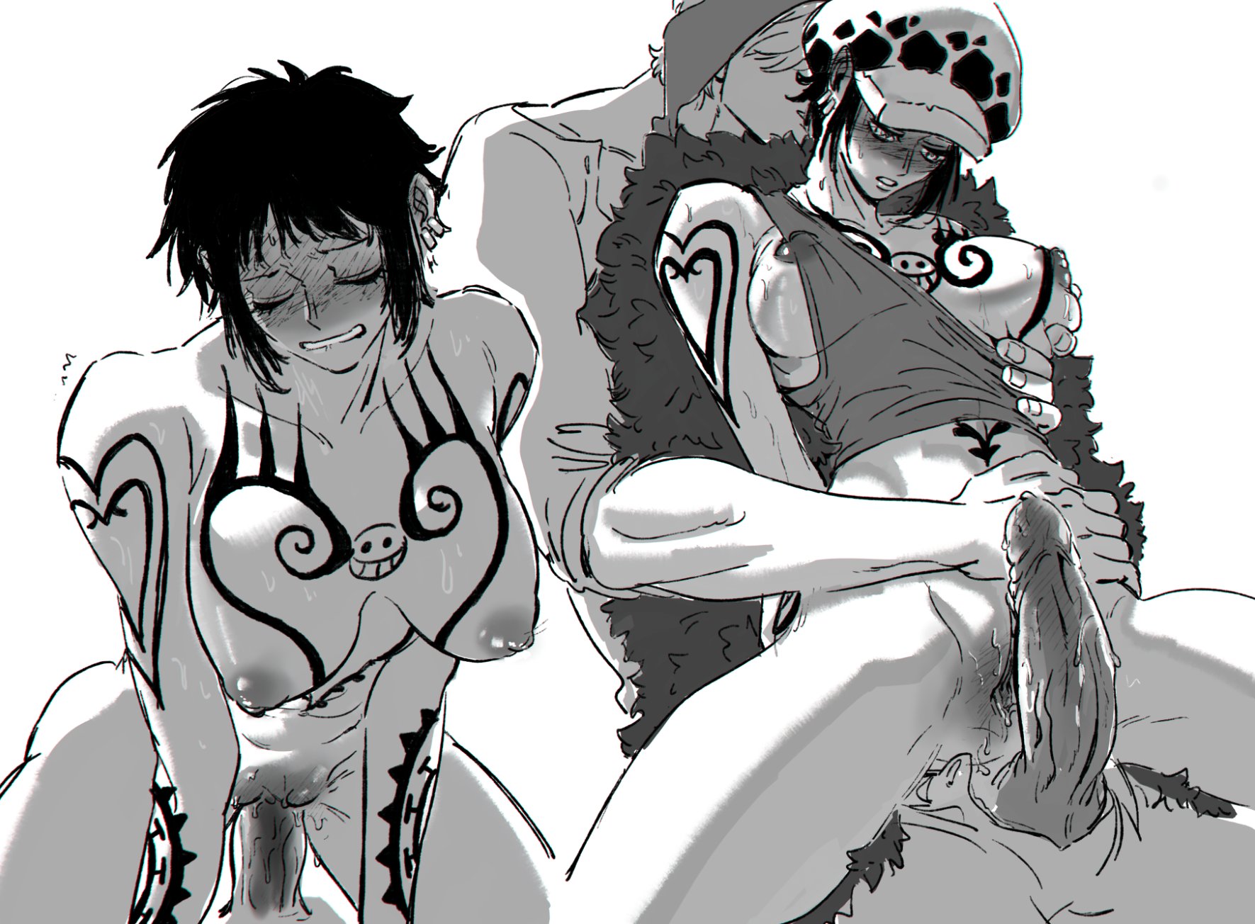 Law r34 one piece