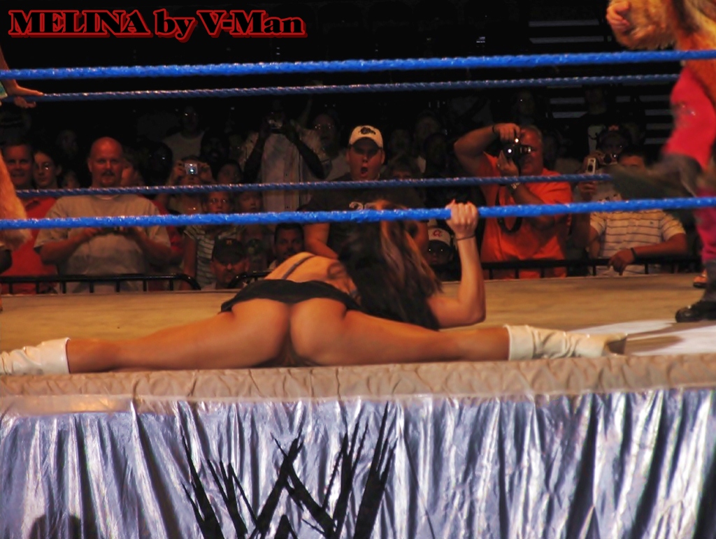 Post 1576436 Fakes Melinaperez Wrestling Wwe 