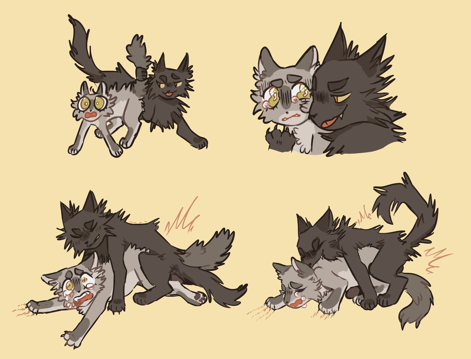 Warrior cats tier list