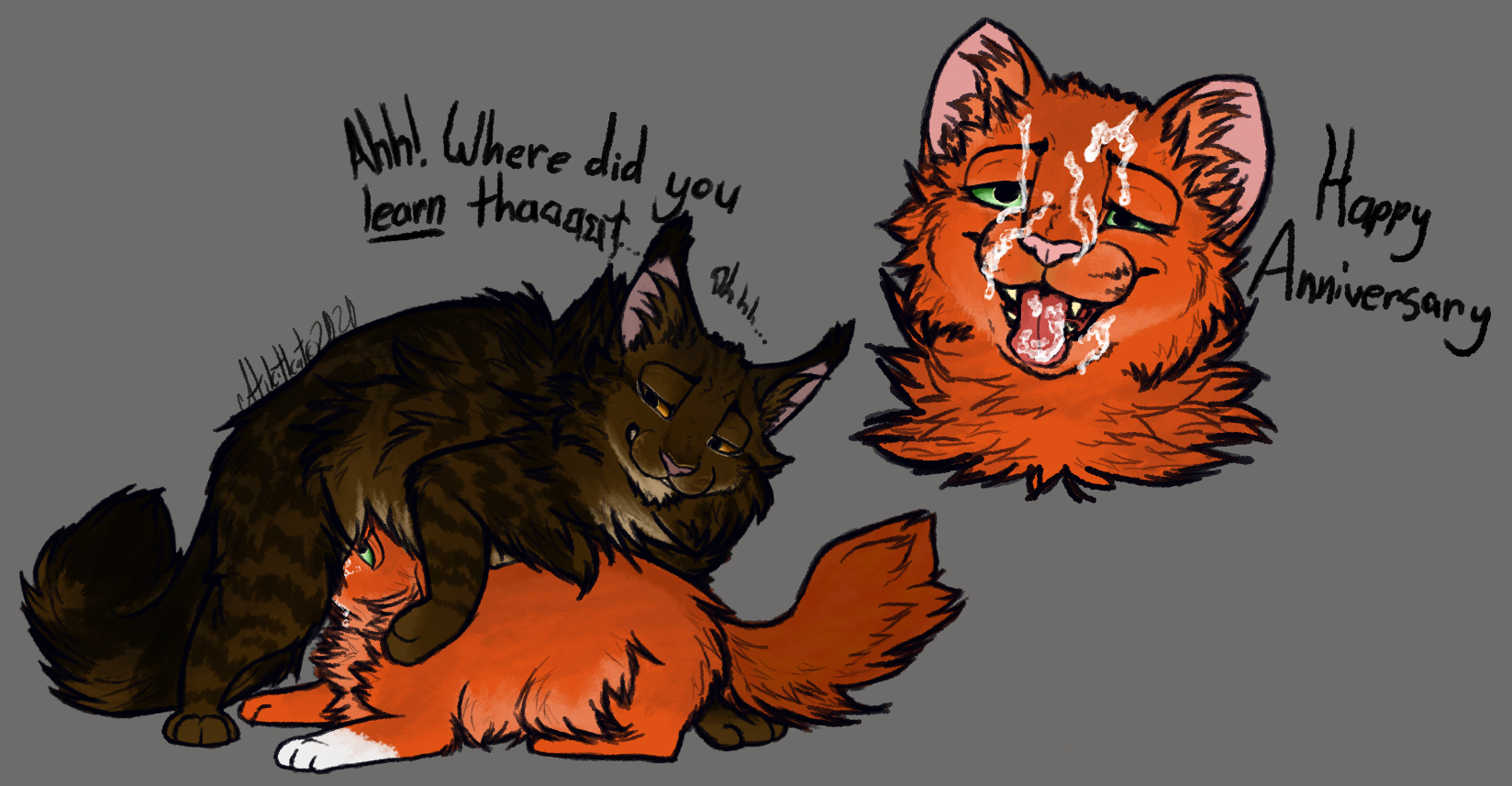 Squirrelflight warrior cats - a-lohas.jp