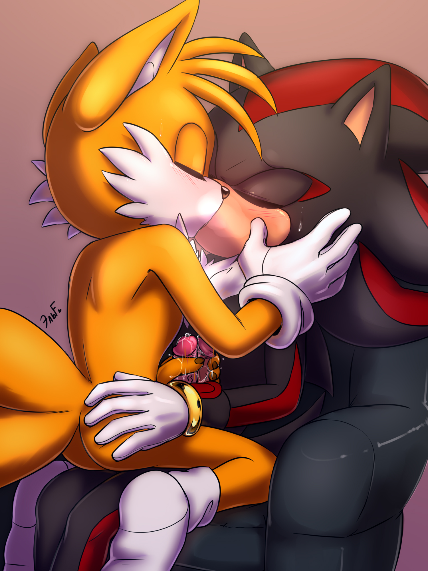 Post 3699934: KrazyELF Shadow_the_Hedgehog Sonic_the_Hedgehog_(series) Tails