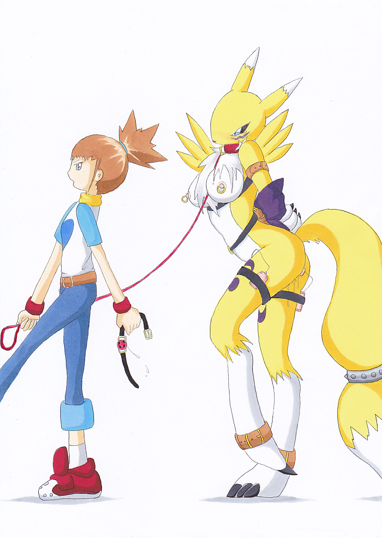 Post 788624 Digidredg Digimon Digimontamers Renamon Rikanonaka 6066