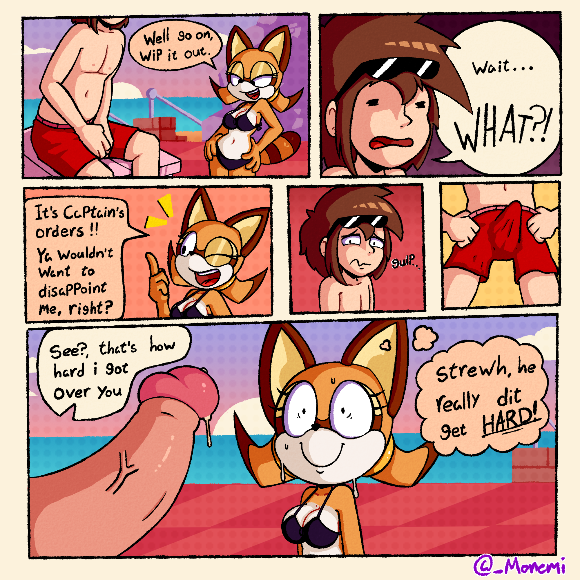 Marine_the_Raccoon Sonic_the_Hedgehog_(series) comic monemi