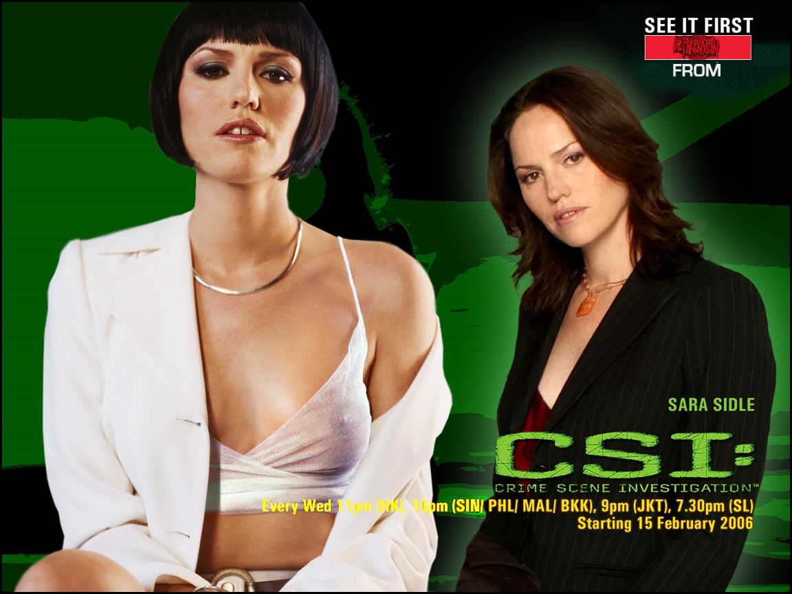 Post 2590793 Csi Csi Crime Scene Investigation Dr Fakenstein Fakes Jorja Fox Sara Sidle