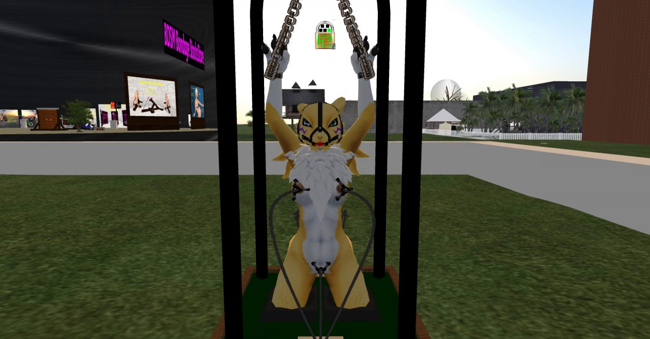 Second life ranker rule 34