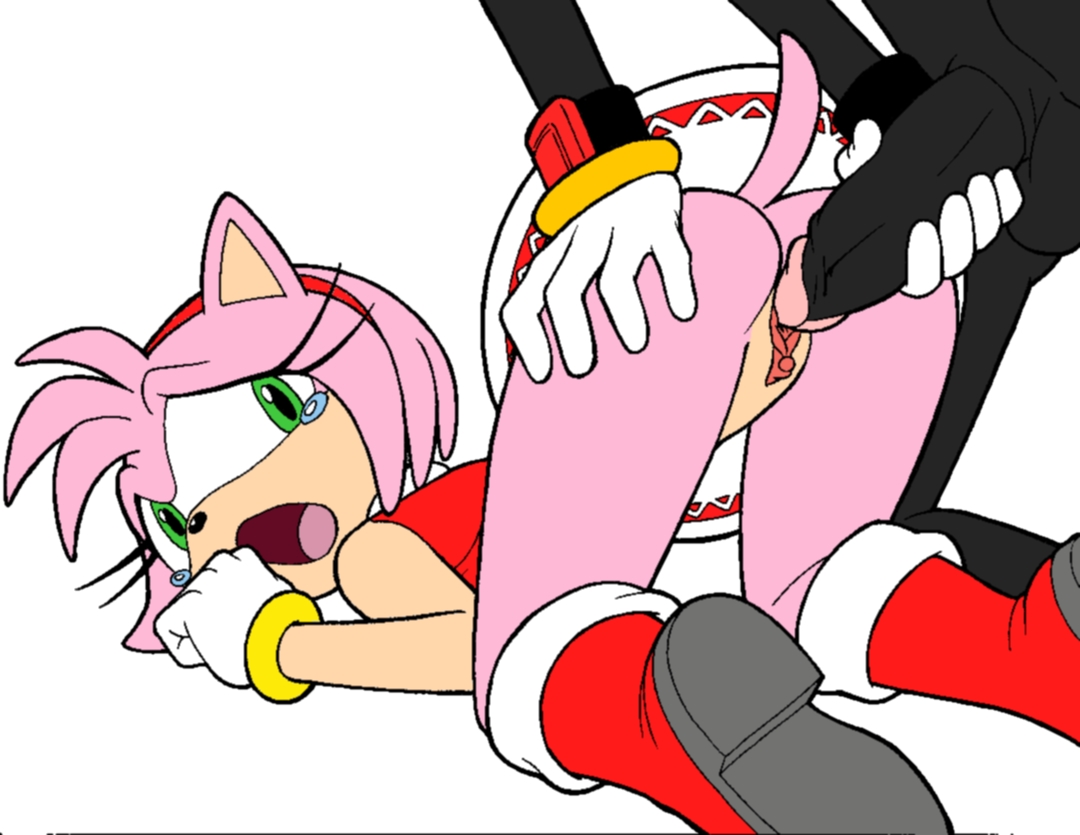 Post 1268444: Amy_Rose rule34rox Shadow_the_Hedgehog  Sonic_the_Hedgehog_(series)