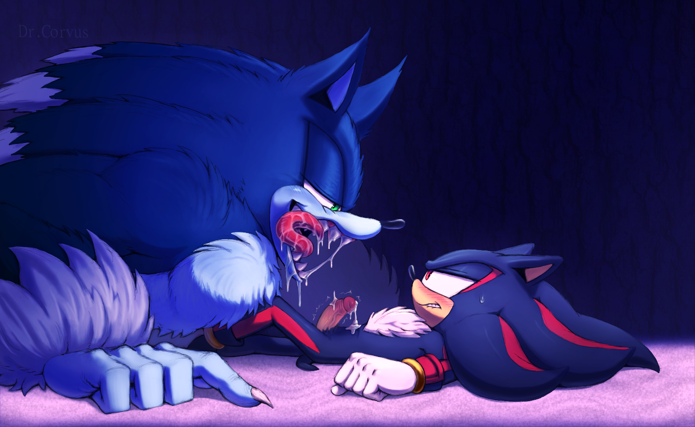 DrCorvus Shadow_the_Hedgehog Sonic_Unleashed Sonic_the_Hedgehog_(series) Sonic_the_Werehog