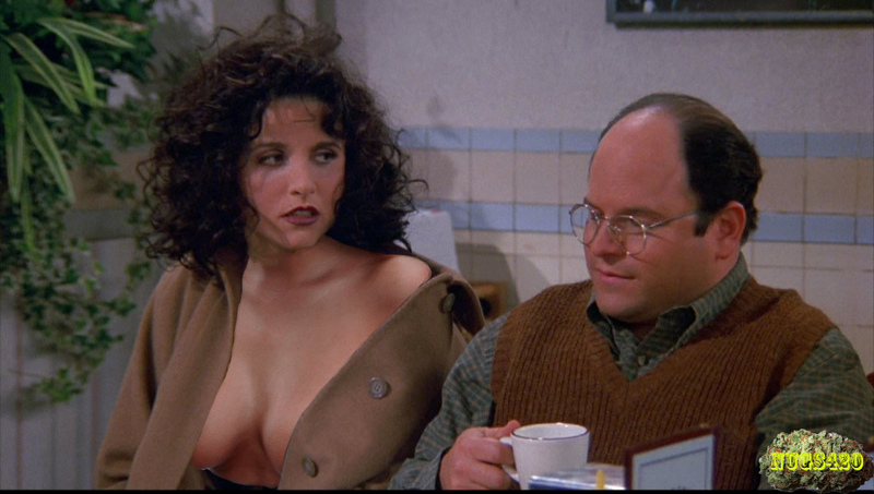 Post 5158158 Elaine Benes Fakes Julia Louis Dreyfus Nugs420 Seinfeld