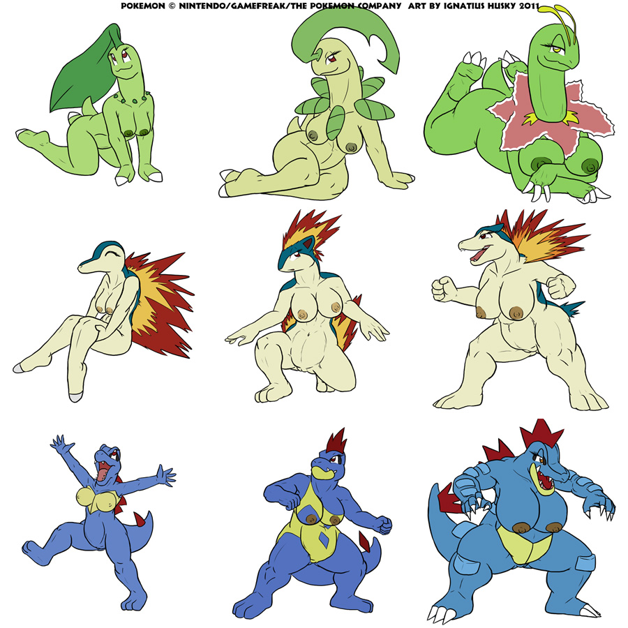 Post 740136 Bayleef Chikorita Croconaw Cyndaquil Feraligatr Ignatiushusky Meganium Porkyman 6981