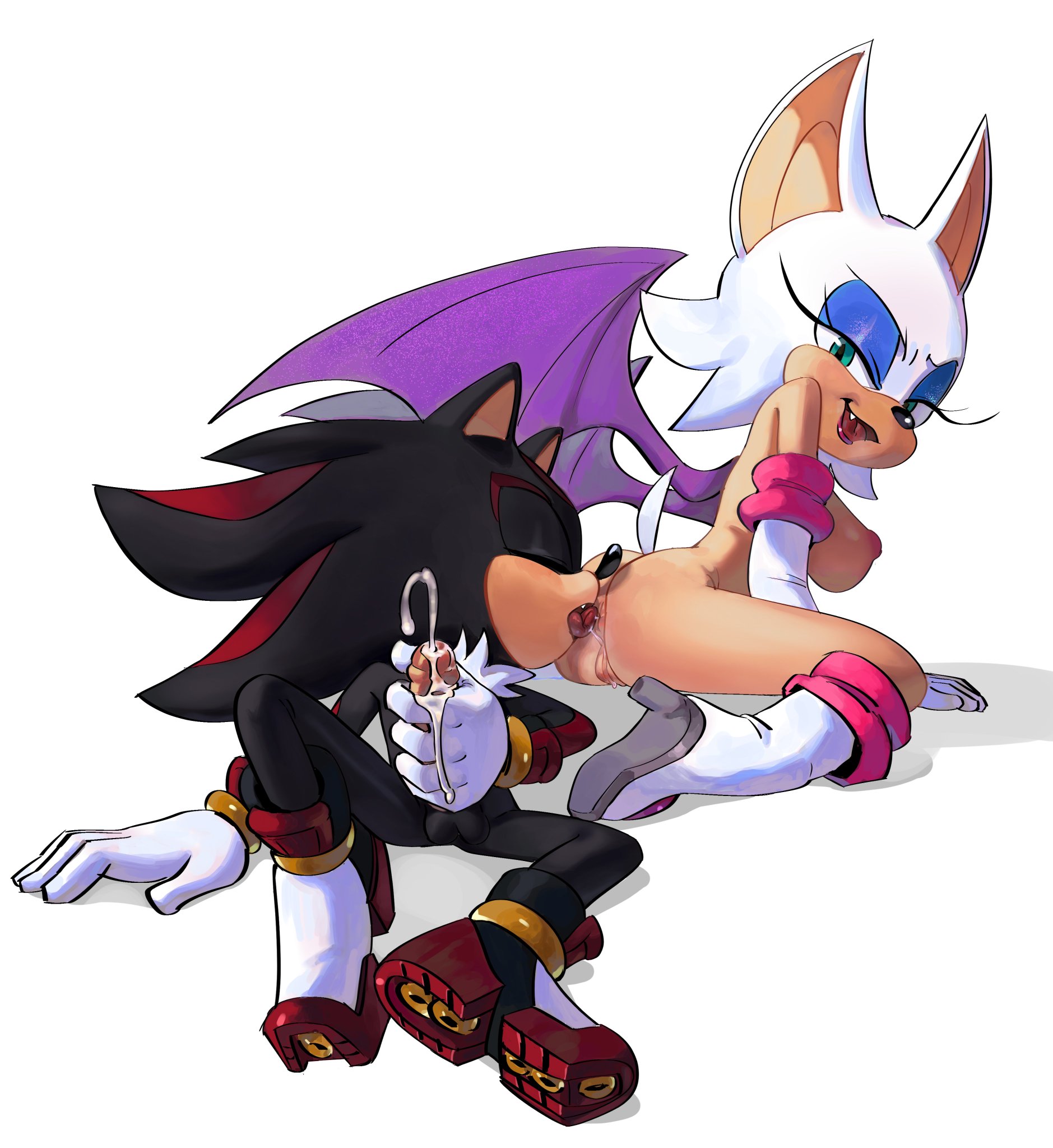 PinkLilim Rouge_the_Bat Shadow_the_Hedgehog Sonic_the_Hedgehog_(series)