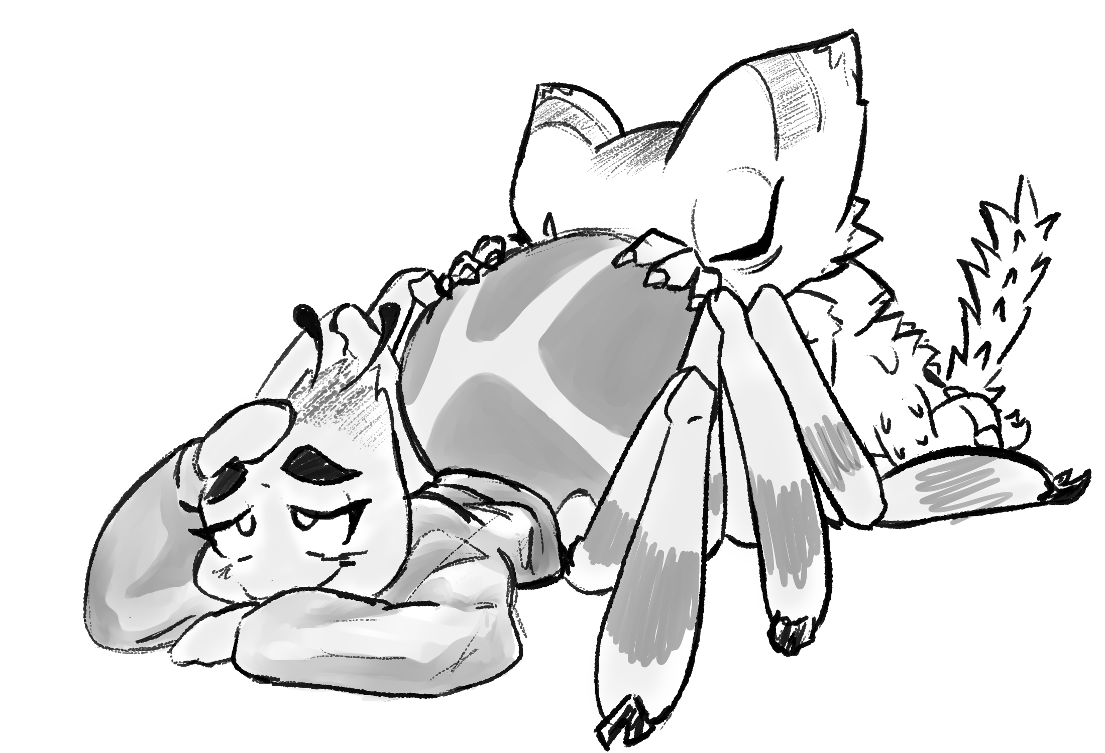 Zoe back to the outback