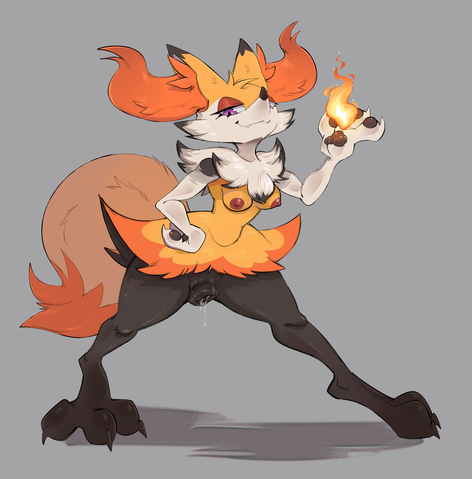 Braixen Darkluxia Porkyman