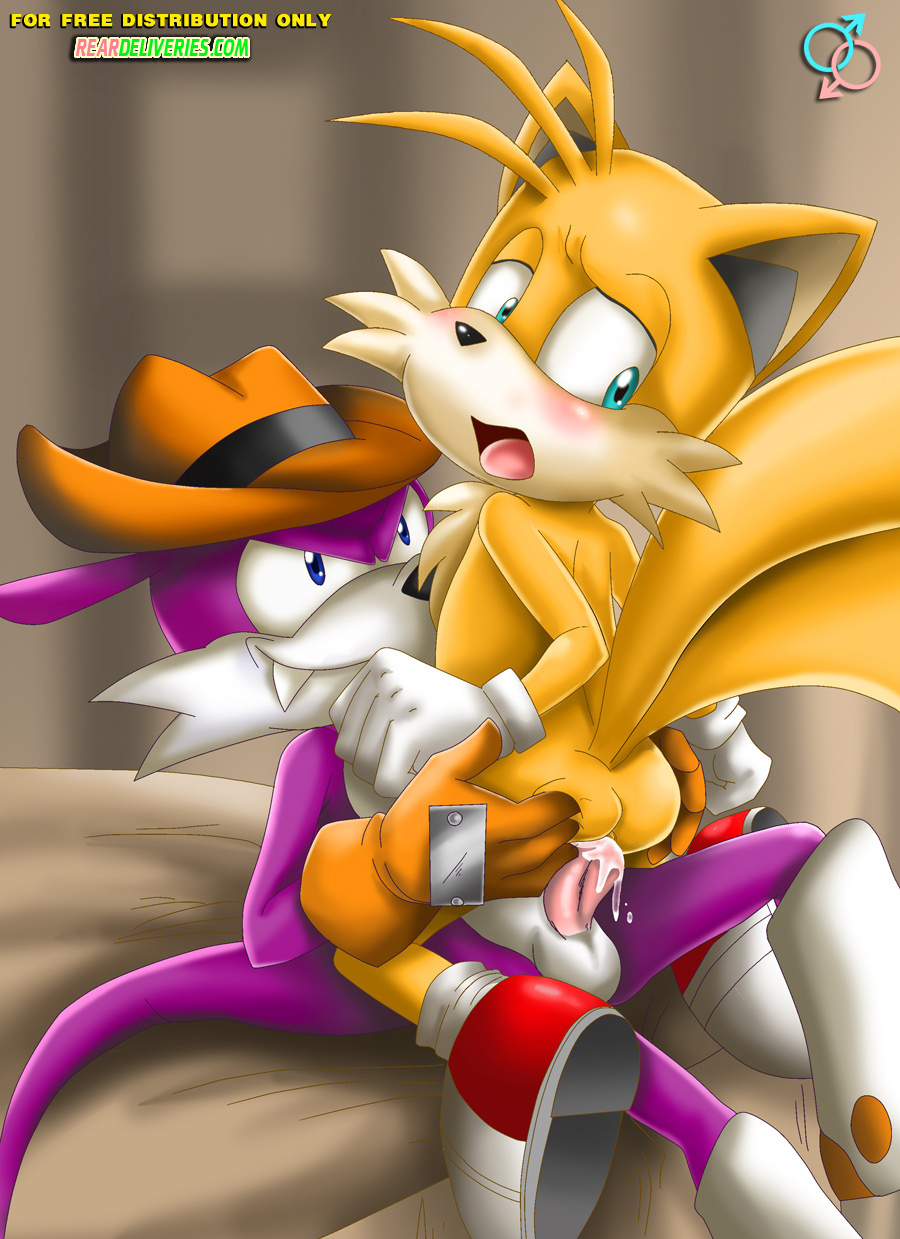 Post 661730: bbmbbf Fang_the_Sniper Sonic_the_Hedgehog_(series) Tails