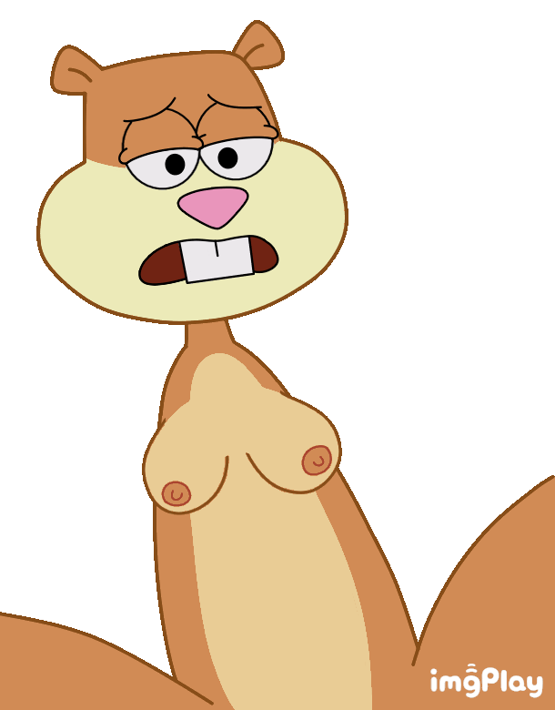 Post 2938818 Animated Pstar7 Sandy Cheeks Spongebob Squarepants Series
